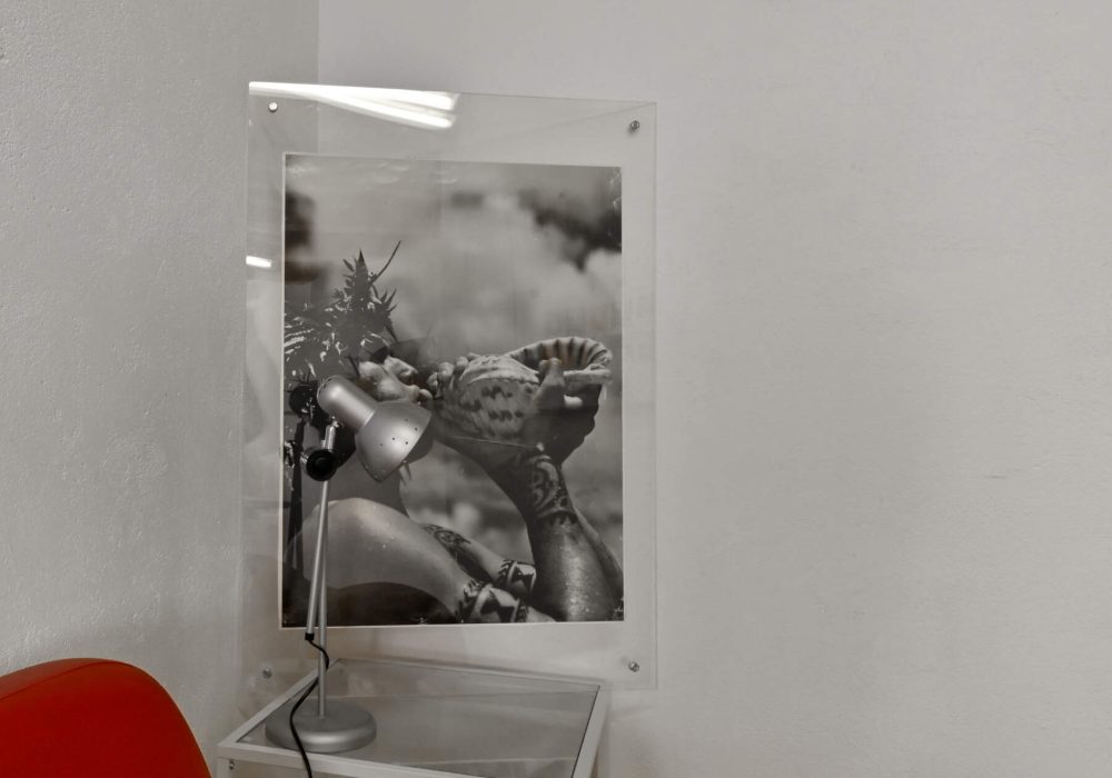 Le Coco_DSC_0563 - Kopie