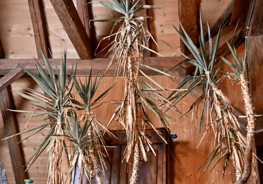 L'entrée_DSC_0472 - Kopie