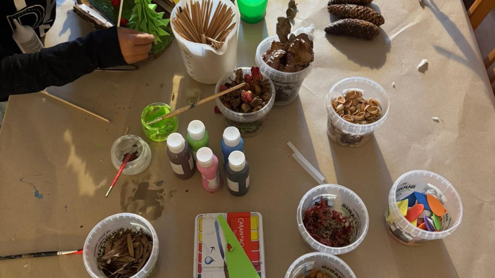 WhatsApp-Bild-2024-11-26-um-00.34.59_a3a8f582