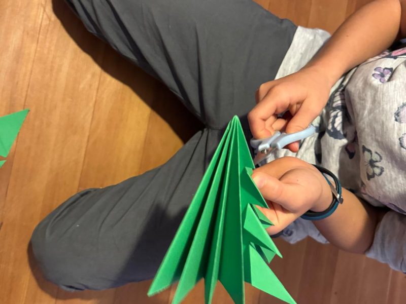 WhatsApp-Bild-2024-11-26-um-01.21.51_3769583d