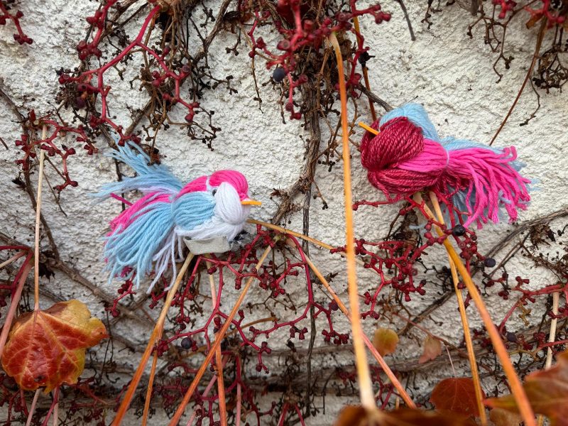 WhatsApp-Bild-2024-11-26-um-01.22.07_1cda5aad