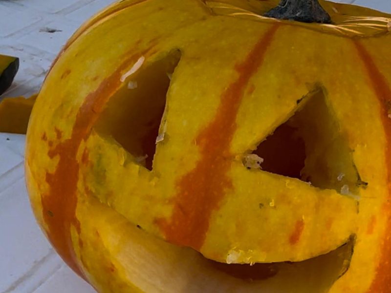 WhatsApp-Bild-2024-11-26-um-01.23.04_1ead181c